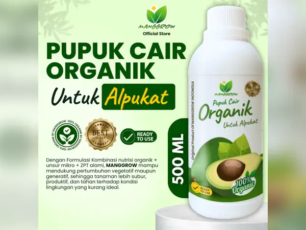Pupuk Terbaik untuk Pohon Alpukat: Tabel Pemupukan, Dosis, dan Tips Praktis 11 pupuk manggrow untuk alpukat