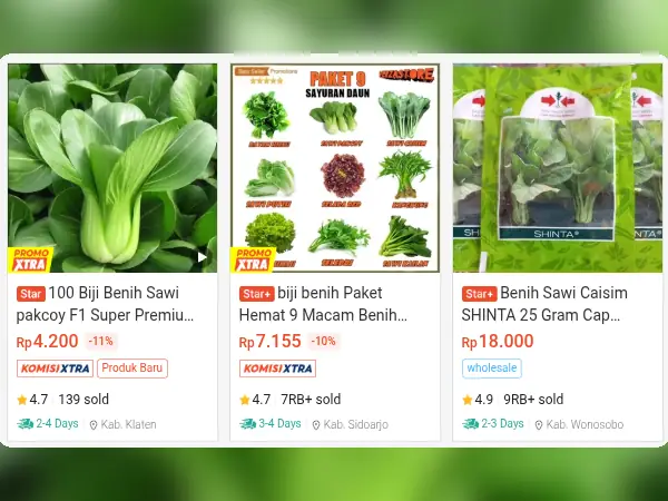 sayuran cepat panen Sawi Hijau