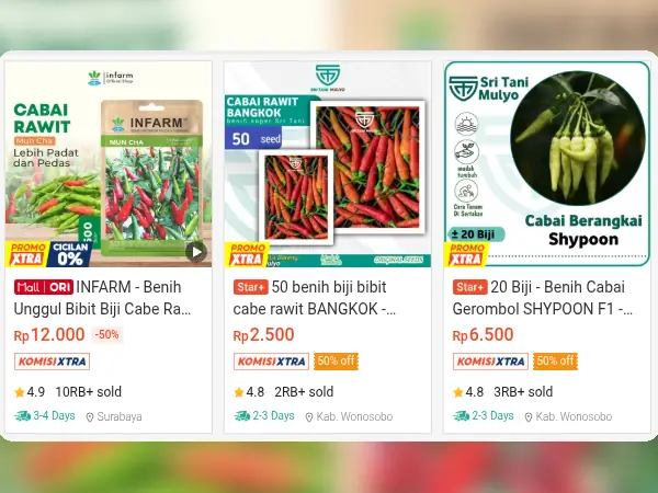 sayuran dataran rendah Cabai Rawit