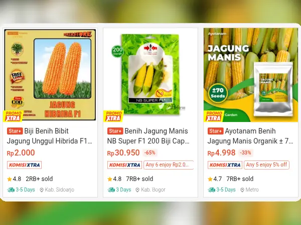 sayuran dataran rendah Jagung