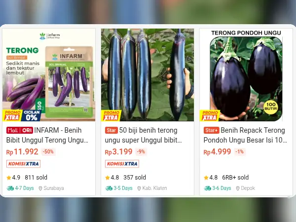 sayuran dataran rendah Terong Ungu