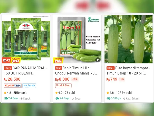 sayuran dataran rendah Timun