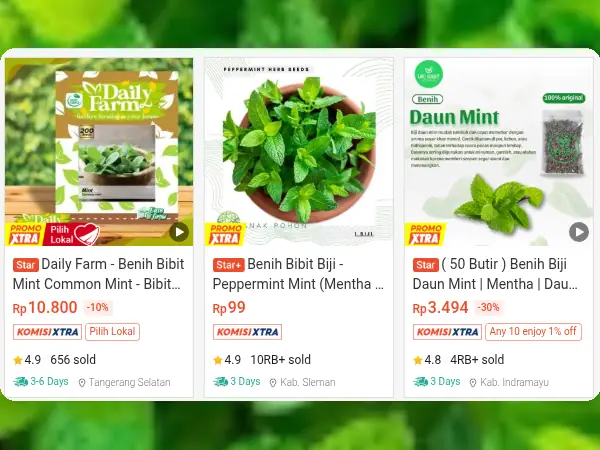 sayuran minim cahaya Daun Mint