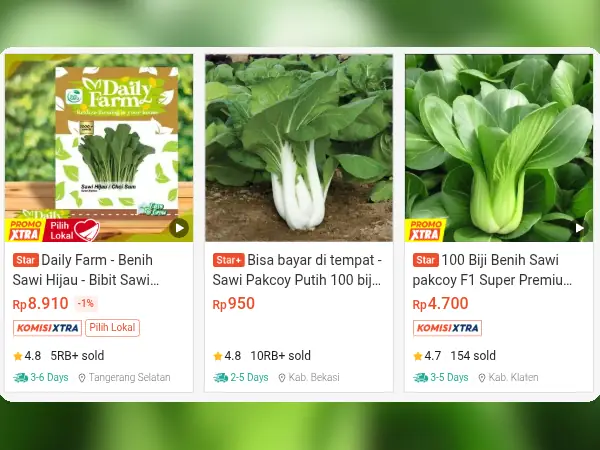 sayuran minim cahaya Sawi