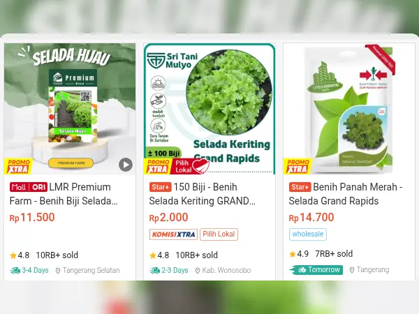 sayuran minim cahaya Selada