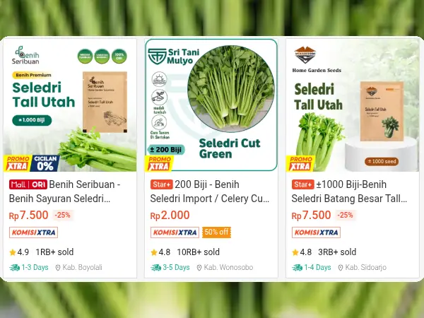 sayuran minim cahaya Seledri