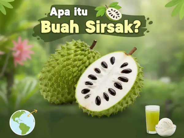 sirsak adalah