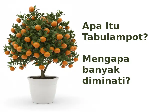10 Bibit Buah Cepat Berbuah di Pot untuk Tabulampot 8 tabulampot adalah