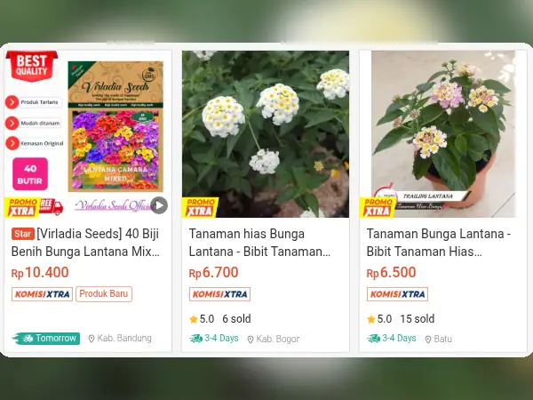 tanaman hias gantung Lantana
