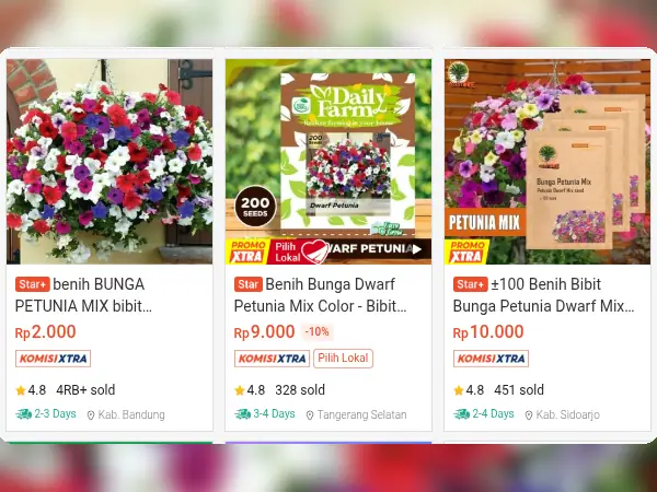 tanaman hias gantung Petunia