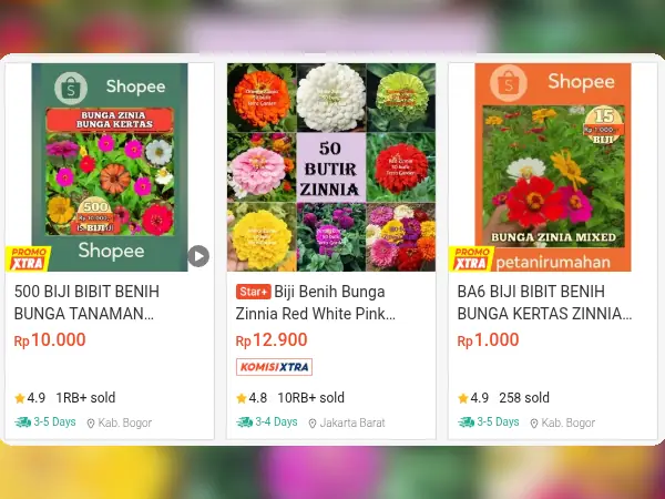 tanaman hias outdoor Bunga Kertas