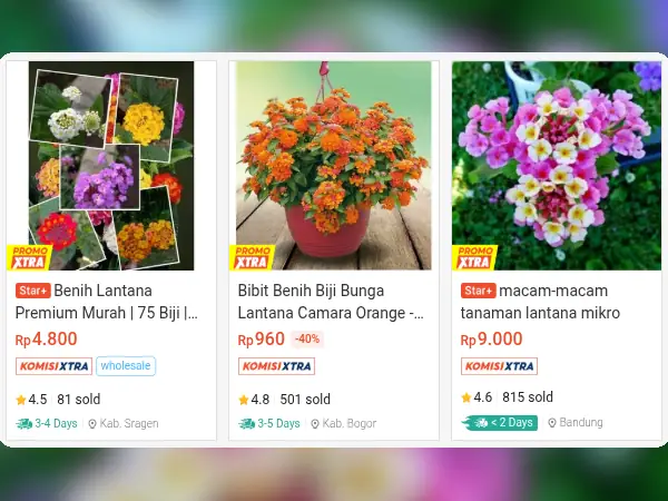 tanaman hias outdoor Bunga Lantana