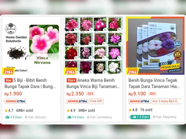 tanaman hias outdoor Bunga Tapak Dara