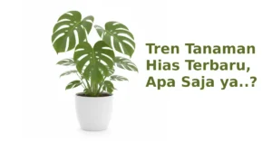 tren tanaman hias terbaru