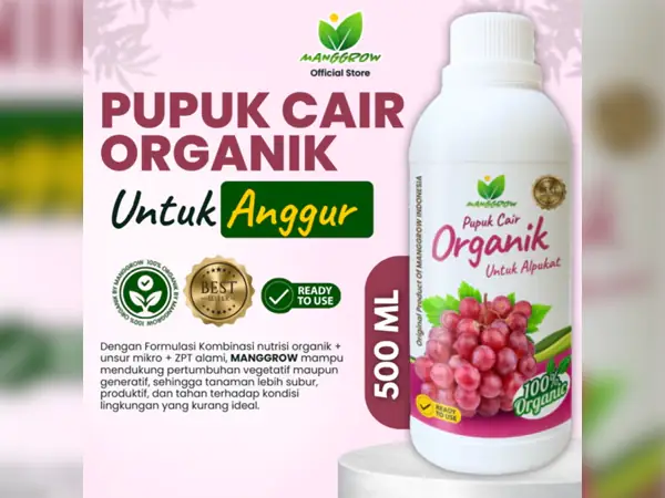 Ini Dia Pupuk Anggur Terbaik untuk Masa Pertumbuhan dan Pembuahan 9 Manggrow pupuk anggur alami