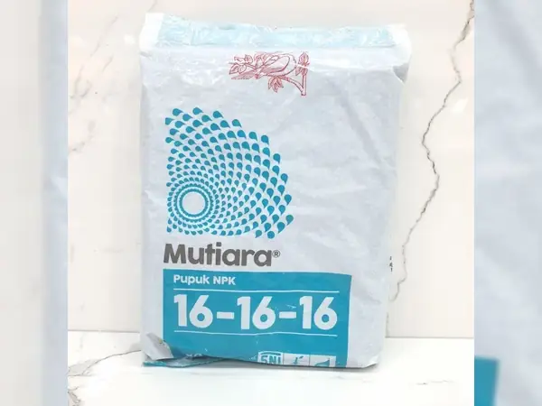 Ini Dia Pupuk Anggur Terbaik untuk Masa Pertumbuhan dan Pembuahan 10 pupuk NPK untuk Anggur