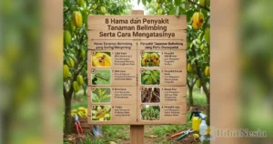 hama penyakit belimbing