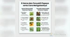 hama penyakit pepaya