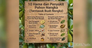 hama penyakit pohon nangka
