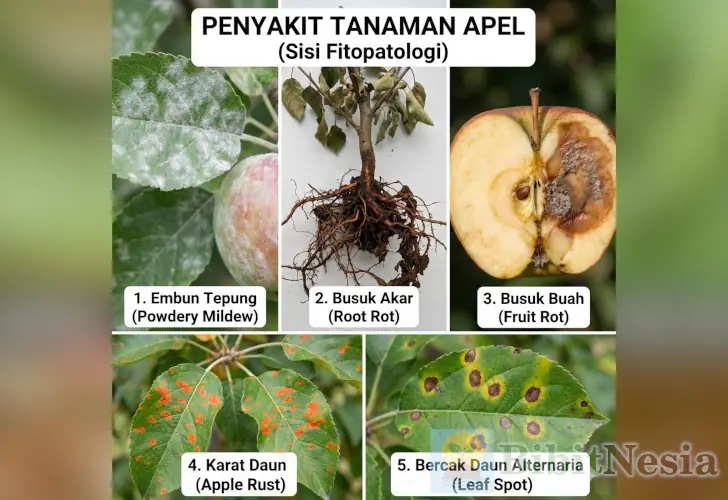 jenis penyakit tanaman apel