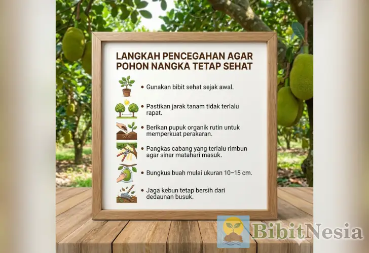 10 Hama dan Penyakit Pohon Nangka (Termasuk Buah Nangka) 9 pencegahan pohon nangka sehat